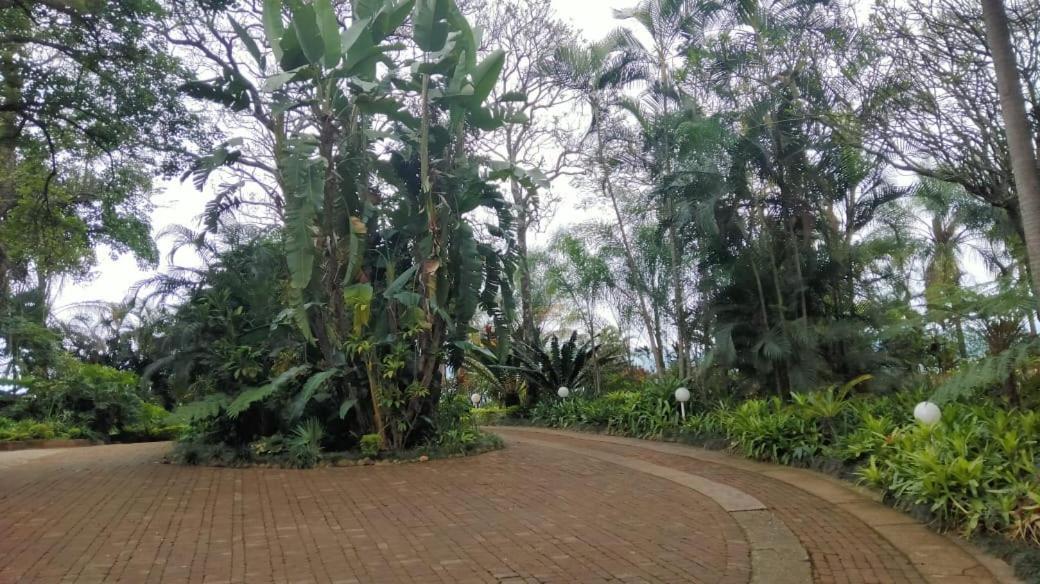 St George'S Guest House Tzaneen Bilik gambar